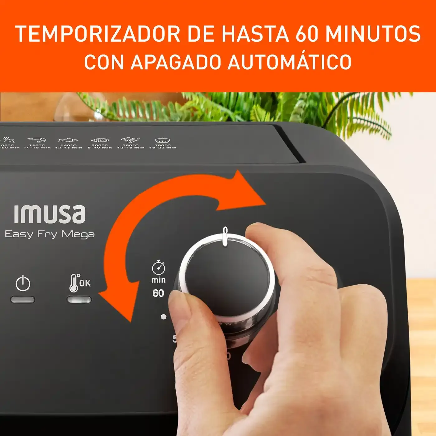 Imagen del producto 3