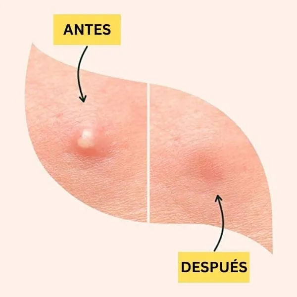 Imagen del producto 4